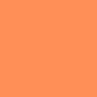 Load image into Gallery viewer, Roscolux #317 - Apricot
