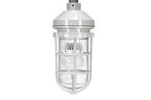 Load image into Gallery viewer, Class 1, Division 2 Groups A,B,C,D Chemical Resistant LED Light - 10 Watts - Non-Metallic - Corrosio(-High Voltage (110-277VAC)-Wall-5600K)
