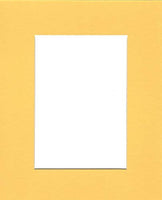 Pack of (2) 22x28 Acid Free White Core Picture Mats Cut for 18x24 Pictures in Yellow