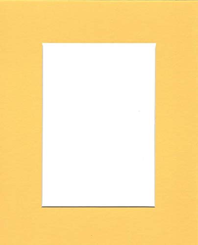 Pack of (2) 22x28 Acid Free White Core Picture Mats Cut for 18x24 Pictures in Yellow