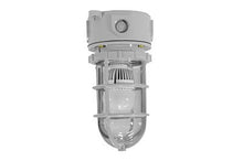 Load image into Gallery viewer, Class 1, Division 2 Groups A,B,C,D Chemical Resistant LED Light - 10 Watts - Non-Metallic - Corrosio(-High Voltage (110-277VAC)-Ceiling-5600K)
