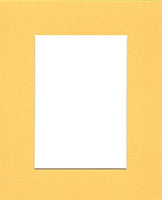 Pack of (2) 20x24 Acid Free White Core Picture Mats Cut for 16x20 Pictures in Yellow