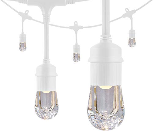 Enbrighten Classic LED Cafe String Lights, White, 24 Foot Length, 12 Impact Resistant Lifetime Bulbs, Premium, Shatterproof, Weatherproof, Indoor/Outdoor, Commercial Grade, UL Listed, 36803