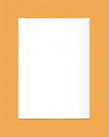 Pack of 10 11x14 Sun Yellow Picture Mats with White Core Bevel Cut for 8x10 Pictures