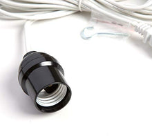 Load image into Gallery viewer, Hometown Evolution, Inc. 12 Foot White Standard Power Cord with On/Off Switch
