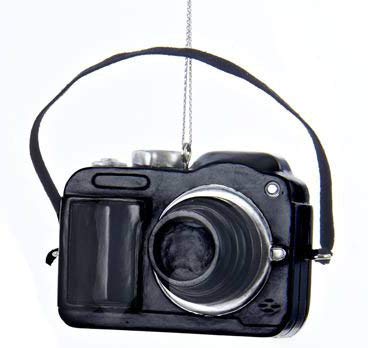 Country Marketplaces Resin Classic Digital Camera Ornament (Black)