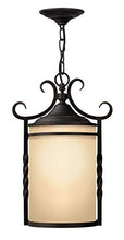 Load image into Gallery viewer, Hinkley 1142OL Transitional One Light Hanging Lantern from Casa Collection in Bronze/Darkfinish,
