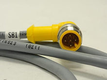 Load image into Gallery viewer, Turck WS 4.5T-3/S653; Cordset; 4A; 250V; 6&#39; Cable
