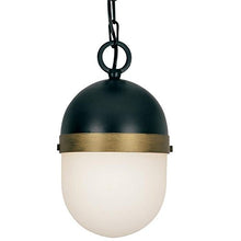 Load image into Gallery viewer, Brian Patrick Flynn for Crystorama Capsule Outdoor 1 Light Pendant

