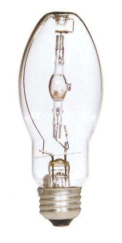 Satco S4828 Candelabra Bulb in Light Finish, 5.44 inches, Clear