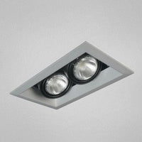 Eurofase TE162-0N 2-Light PAR20 Recessed Mutiple Strip Trim, Platinum