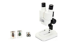 Load image into Gallery viewer, Celestron  Celestron Labs  Binocular Stereo Microscope  20x Magnification  Upper LED Illumination  Includes 2 Specimens
