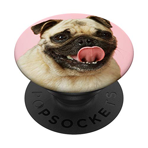 Pug Cute Dog Pet Animal Dogs PopSockets PopGrip: Swappable Grip for Phones & Tablets