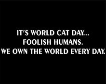 Load image into Gallery viewer, Sweet Tea Decals It&#39;s World Cat Day. Foolish Humans. We Own The World Every Day - 9&quot; x 2&quot; - Vinyl Die Cut Decal/Bumper Sticker for Windows, Trucks, Cars, Laptops, Macbooks, Etc.
