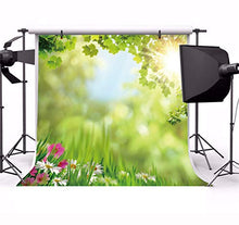 Load image into Gallery viewer, AOFOTO 10x10ft Spring Backdrop for Photography Flowers Green Grass Leaves Sunshine Bokeh Haloes Blurry Background Picnic Family Gathering Spring Outing Adults Portraits Shooting Photo Studio Prop
