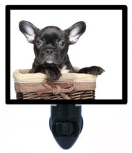 Load image into Gallery viewer, Dog Night Light, Black French Bulldog
