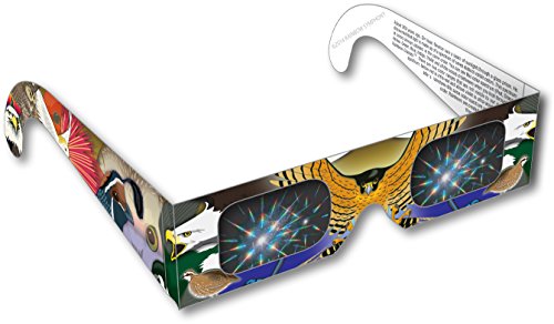 Rainbow Symphony Rainbow 3D Firework Glasses - Bird Design, Package of 50