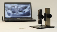 Load image into Gallery viewer, Firefly GT620 Wireless Polarizing Handheld Digital Microscope

