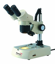 Load image into Gallery viewer, Thomas 1100200800261FGT Stereo Binocular Microscope with Dual Halogen Stand and Fluorescent, 10x Widefield Eyepiece, 2x+4x Magnification, 360 Degree Viewing Angle
