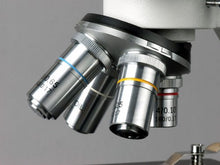 Load image into Gallery viewer, AmScope B100B-E Digital Compound Binocular Microscope, 40X-2000X Magnification, Brightfield, Tungsten Illumination, Abbe Condenser, Plain Stage, Includes 0.3MP Camera and Software
