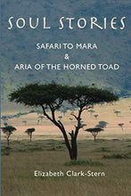 Load image into Gallery viewer, Soul Stories: Safari to Mara and Aria of the Horned Toad
