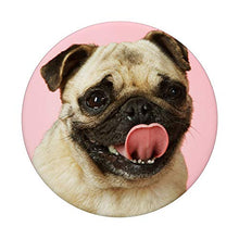 Load image into Gallery viewer, Pug Cute Dog Pet Animal Dogs PopSockets PopGrip: Swappable Grip for Phones &amp; Tablets
