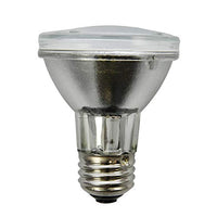 Current Professional Lighting LED3DFGC-GC-2 LED Globe Bulb, Silver