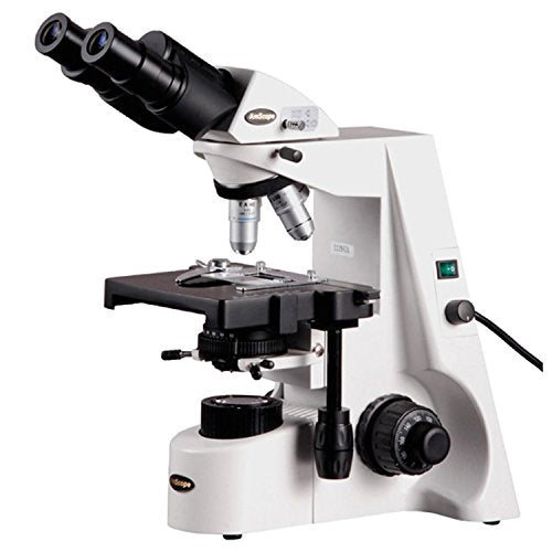 AmScope B690B Siedentopf Binocular Compound Microscope, 40X-2000X Magnification, WH10x and WH20x Super-Widefield Eyepieces, Infinity Objectives, Brightfield, Kohler Condenser, Double-Layer Mechanical