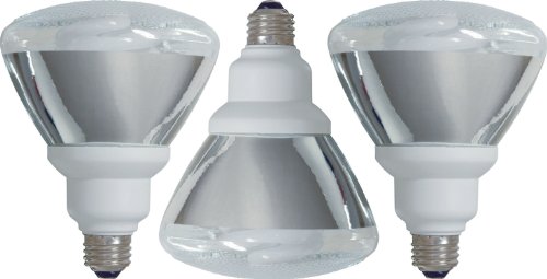 GE 47483-3 26-Watt (90-Watt equivalent) Energy Smart Outdoor Floodlight 6 Year Life PAR38 Light Bulb 3-Pack