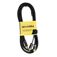 Accenta ACC-24206 Braided Cable with 2 RCA Plugs to Extra-Long 3.5 Stereo Plug, 6'