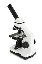 Load image into Gallery viewer, Celestron  Celestron Labs  Monocular Head Compound Microscope  40-800x Magnification  Adjustable Mechanical Stage  Includes 2 Eyepieces and 10 Prepared Slides
