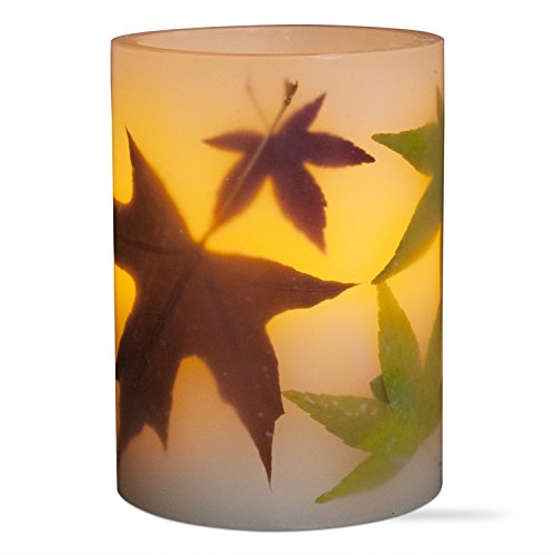 tag 204908 Multi Harvest Autumn Leaf LED Pillar Candle, 4 x 3