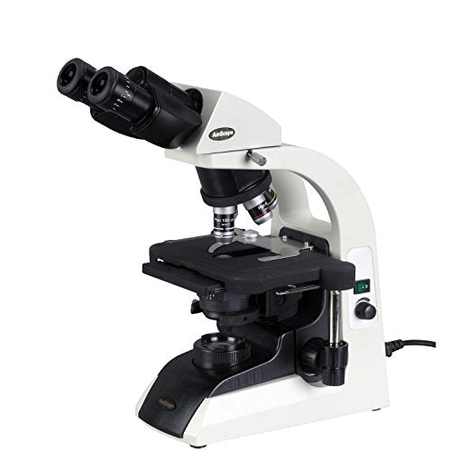 40X-2500X Infinity Plan Binocular Biological Microscope