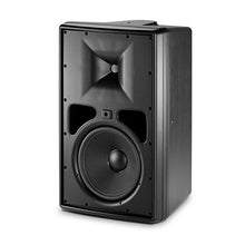 Load image into Gallery viewer, JBL Professional Control 31 Two-Way High-Output Indoor-Outdoor Monitor Speaker, Black
