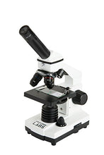 Load image into Gallery viewer, Celestron  Celestron Labs  Monocular Head Compound Microscope  40-800x Magnification  Adjustable Mechanical Stage  Includes 2 Eyepieces and 10 Prepared Slides
