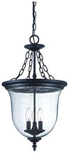 Load image into Gallery viewer, Acclaim 9316BK Belle Collection 3-Light Outdoor Light Fixture Hanging Lantern, Matte Black
