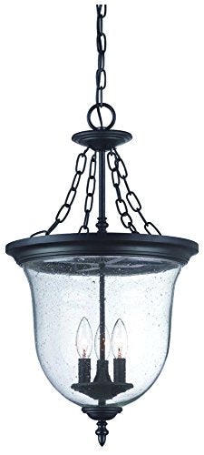 Acclaim 9316BK Belle Collection 3-Light Outdoor Light Fixture Hanging Lantern, Matte Black