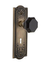 Load image into Gallery viewer, Nostalgic Warehouse 723853 Meadows Plate with Keyhole Double Dummy Waldorf Black Door Knob in Antique Brass
