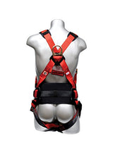 Load image into Gallery viewer, Elk River EagleLite Harness with Tongue Buckles, 3 D-Rings, Polyester/Nylon, Large
