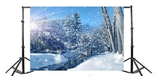 Load image into Gallery viewer, Laeacco Winter Snowscape Backdrop 10x8&#39; Vinyl Sunshine Frosty Pine Trees Snowy Forest River Haloes Scene Photography Background Winter Scenic Backdrop Kids Baby Shoot Poster Indoor Decors Wallpeper
