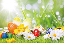 Load image into Gallery viewer, Baocicco 9x6ft Vinyl Backdrop Photography Background Happy Easter Painted Eggs Blooming Fresh Flowers Green Grass Field Blue Sky Dewdrop White Cloud Spring Photo Background Children Baby Portrait

