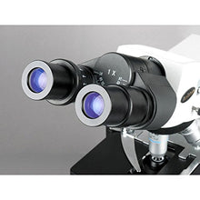 Load image into Gallery viewer, AmScope B660C Siedentopf Binocular Compound Microscope, 40X-2500X Magnification, WH10x and WH25x Super-Widefield Eyepieces, Semi-Plan Objectives, Brightfield, Kohler Condenser, Double-Layer Mechanical

