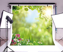 Load image into Gallery viewer, AOFOTO 10x10ft Spring Backdrop for Photography Flowers Green Grass Leaves Sunshine Bokeh Haloes Blurry Background Picnic Family Gathering Spring Outing Adults Portraits Shooting Photo Studio Prop
