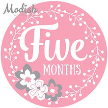 Load image into Gallery viewer, 12 Monthly Baby Stickers, Pink &amp; Gray, Flowers, Girl, Baby Belly Stickers, Baby Month Stickers, First Year Stickers Months 1-12, Pink, Grey, Baby Girl
