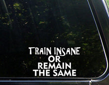 Load image into Gallery viewer, Sweet Tea Decals Train Insane Or Remain The Same - 6 1/2&quot; x 3 3/4&quot; - Vinyl Die Cut Decal/Bumper Sticker for Windows, Trucks, Cars, Laptops, Macbooks, Etc.
