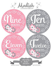 Load image into Gallery viewer, 12 Monthly Baby Stickers, Pink &amp; Gray, Flowers, Girl, Baby Belly Stickers, Baby Month Stickers, First Year Stickers Months 1-12, Pink, Grey, Baby Girl
