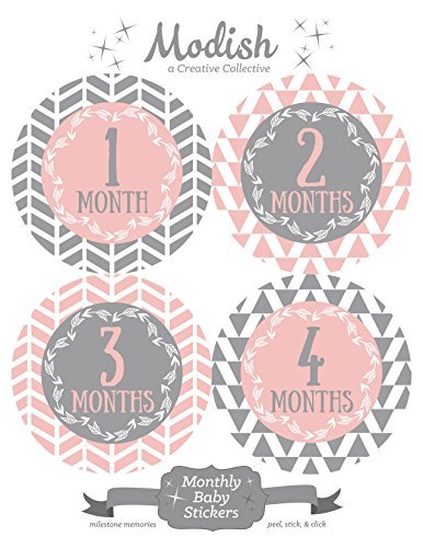 Modish Labels 12 Monthly Baby Stickers, Baby Girl, Pink, Gray, Grey, Arrows, Tribal, Baby Book Keepsake, Baby Shower Gift, Photo Prop
