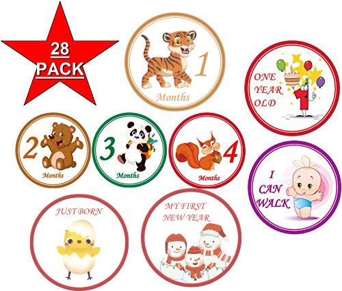 Baby Monthly Stickers 28 - First Year Stickers for Infant - Belly Stickers Boy Girl - Mount to Mount Birthday and all Hollidays - 4 inch diameter