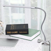 Load image into Gallery viewer, 10W LED Clip on Light, Desk Lamps with 3 Modes &amp; 2M USB Cable 10 Levels Dimmer Clamp Lamp (Silver)
