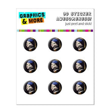 Load image into Gallery viewer, Graphics and More The Cat with the Pearl Earring Parody Girl Vermeer Home Button Stickers Fits Apple iPhone 4/4S/5/5C/5S, iPad, iPod Touch - Non-Retail Packaging - Clear
